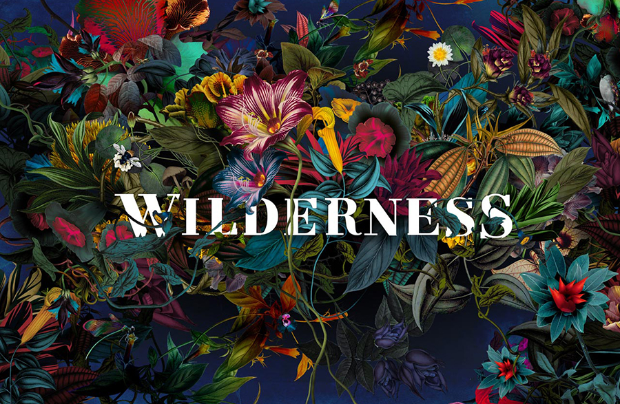 wilderness-festival